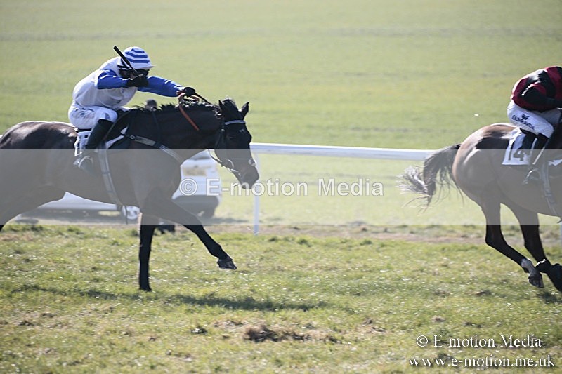 PtP 240218 58 - Vine & Craven Hunt Point-to-Point Barbury racecourse 24/02/18