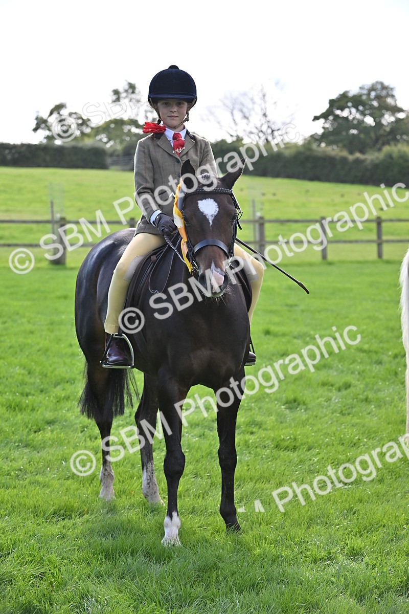 SBM_44602 - S13 - Pony Club Pony