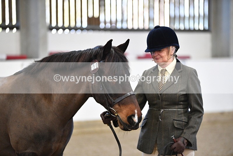 WJ5_3558 - Class 5 In Hand Veterans