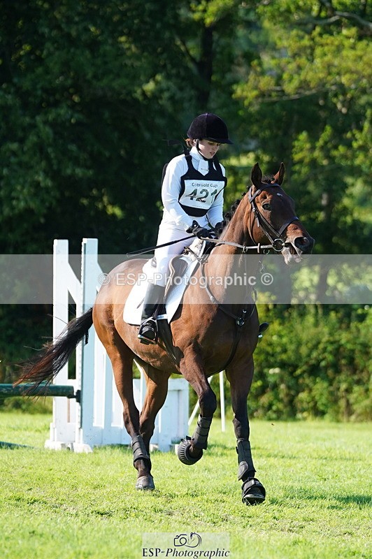 240811A-170406-06525 - 421-