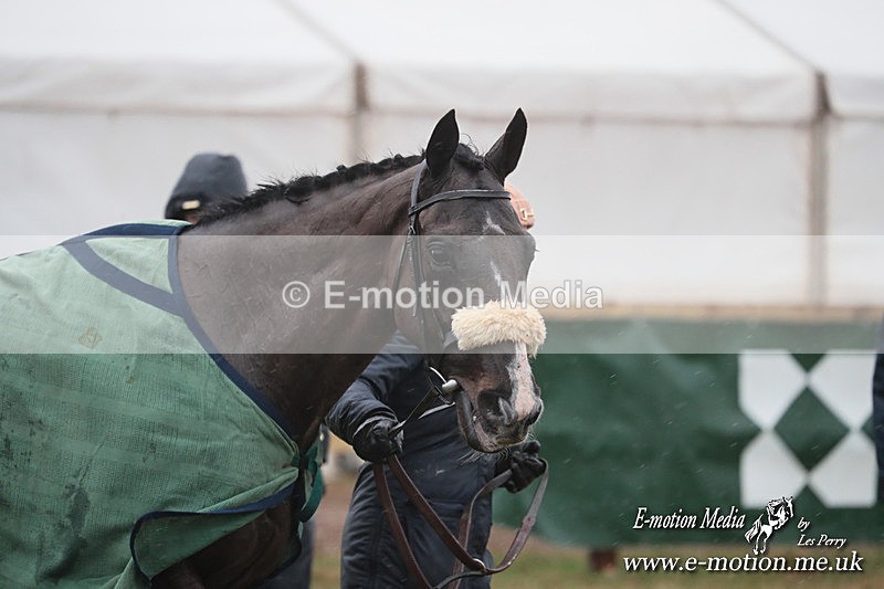 PtP 260125 109 - Cocklebarrow Point-to-Point racing with the Heythrop Hunt 26/01/25