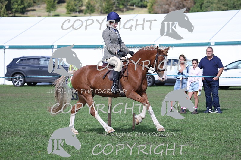 APP_3085 - Class 11 Veterans ridden