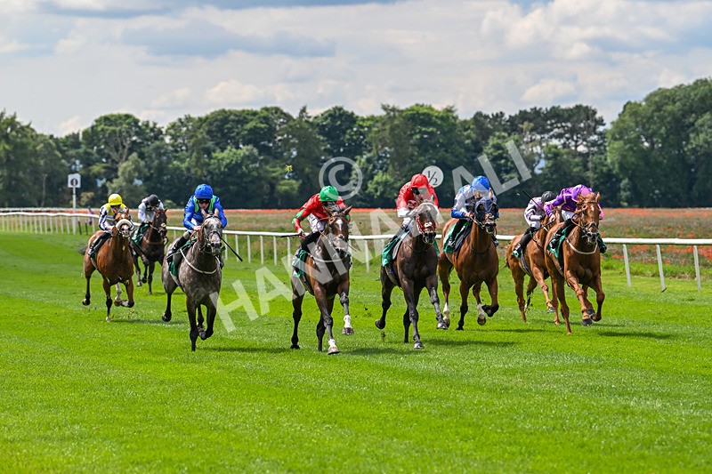 170724-Race 2-Bustaam-9807 - Race 2