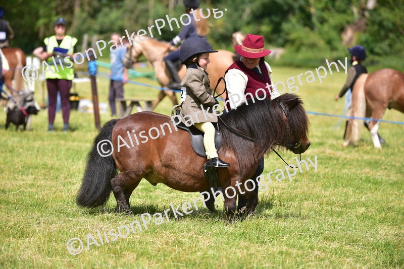 20260614-1158 - Class 11a - Lead Rein Pony (Unplaited)