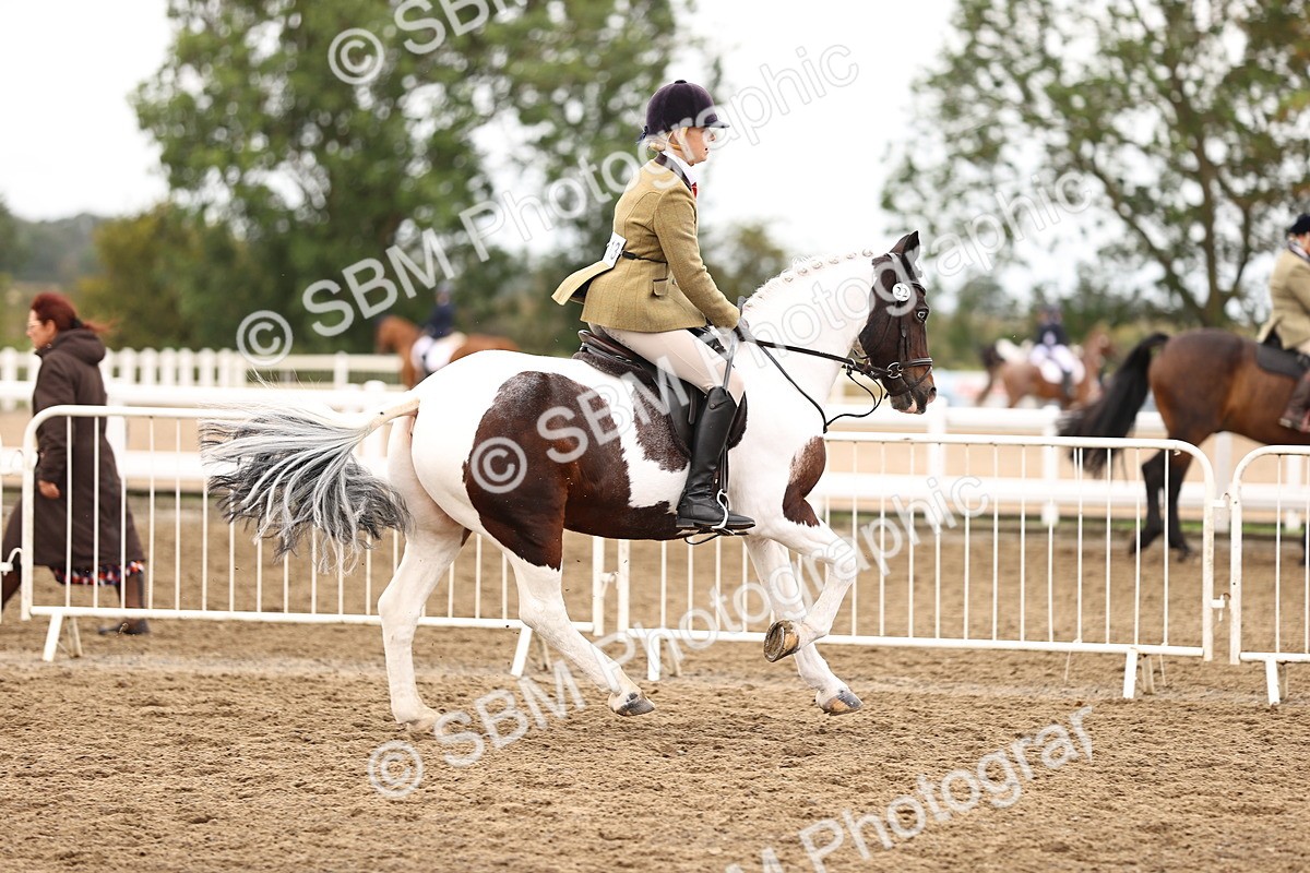 SBM_01420 - Class 54 - Riding Club Horse Pony