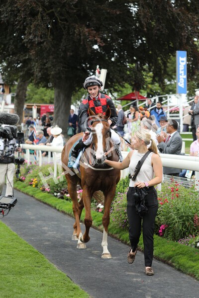 yr18082022r3-44 - Race 3 3.00pm Clipper Logistics Stakes