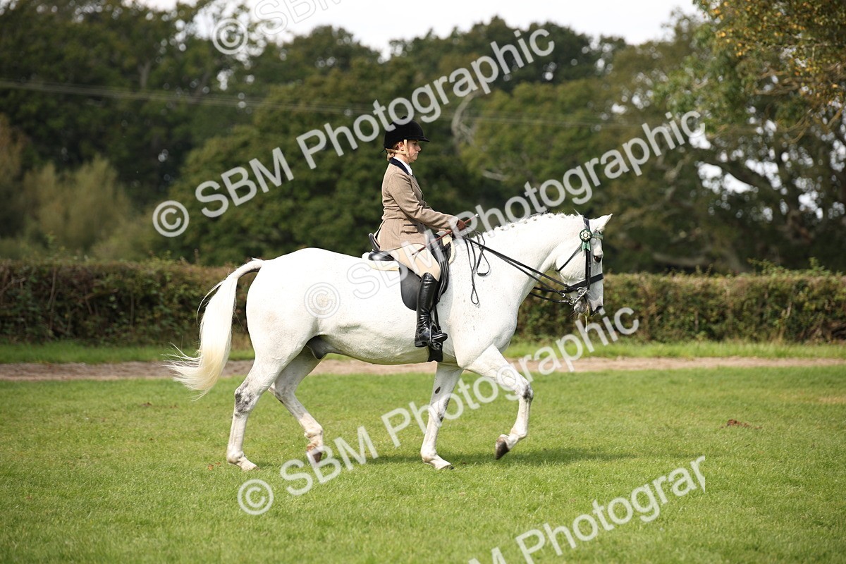 SBM_65902 - S64 - Riding Horse & Hack & Thoroughbred Ridden