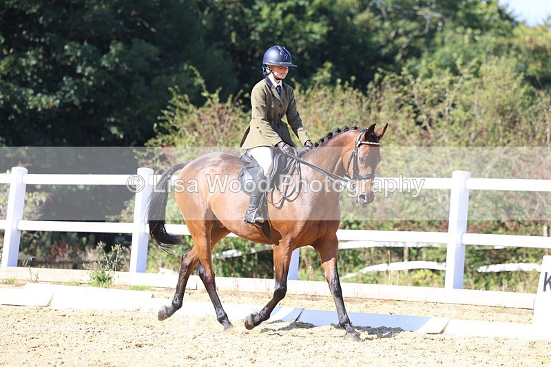 3E7A5675 - Class 10: Riding Horse