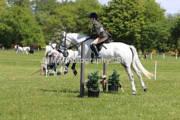IMG_3522 - Working Hunter
