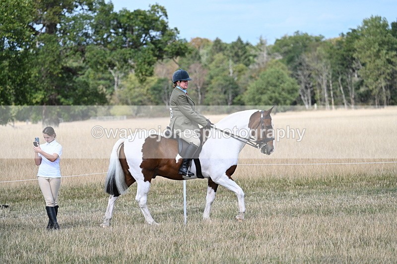 WJ7_6668 - Class 14 Ridden Coloured