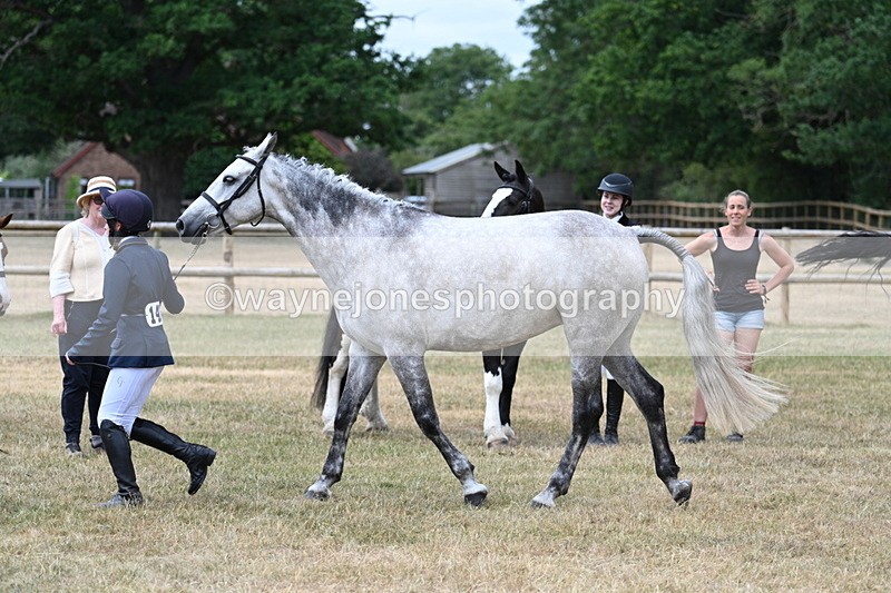 WJ7_1887 - Class 4a Prettiest Mare 14.2hh and over hand