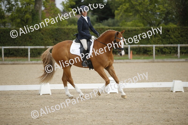 20260913-0198 - Class 3 - Novice 5