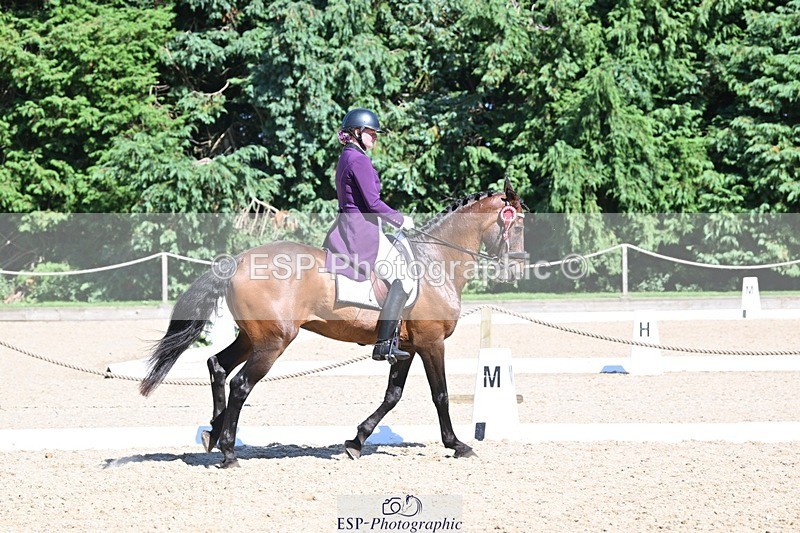 240811-154529-06839 - Inter I Silver