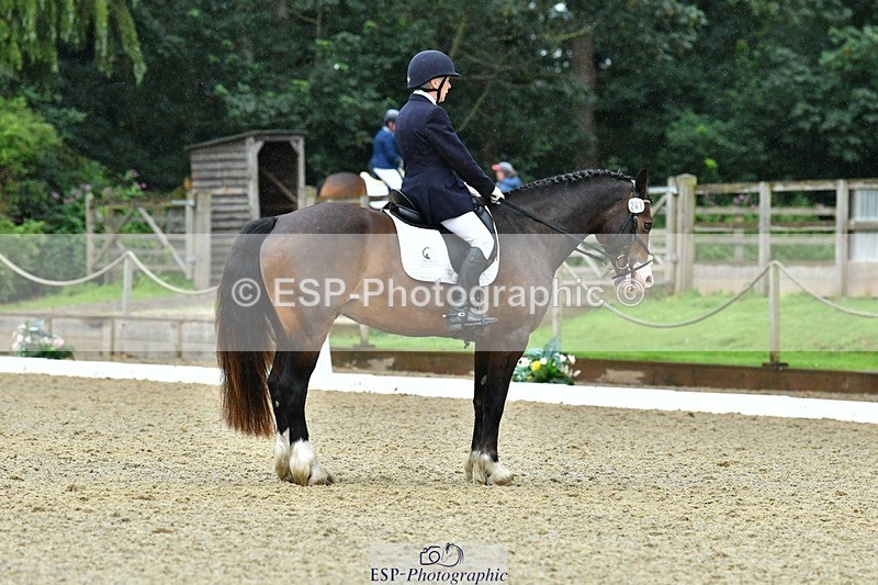 230722-162810-03961 - Cls 5, Elementary Silver 15.10 to End