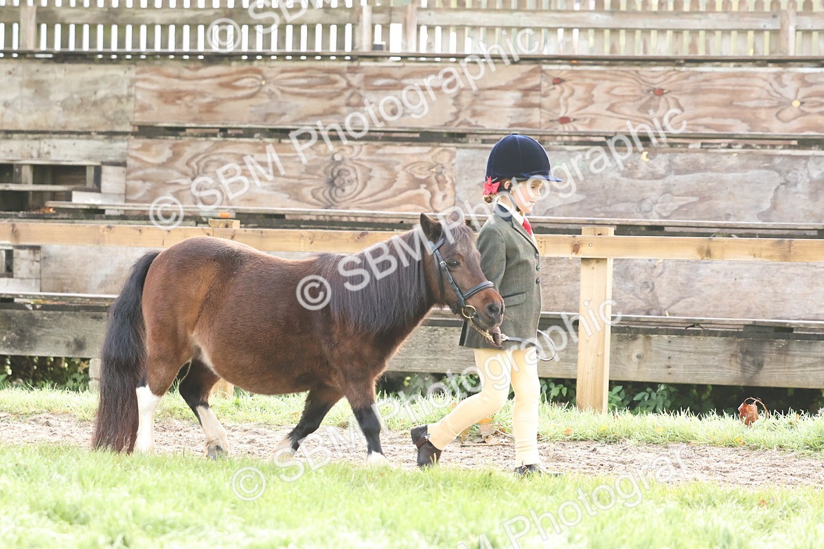 SBM_54479 - S38 - Starters Best Turnout