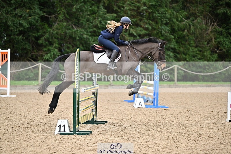 250201A-101622-00186 - Cls 01 Local Horse 90cm