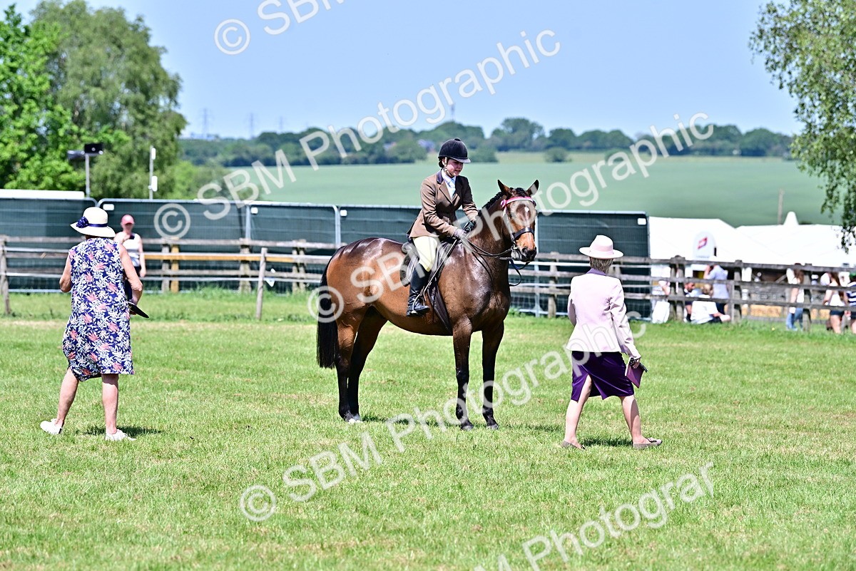 SBM_17440 - Class 95-97 - BSPS LHS Performance Ponies