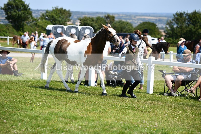 DSC_7633 - Class 64: Coloured Pony 4yrs & over
