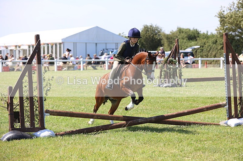 JPP_2264 - Class 20: Tiny Tots Working Hunter Pony