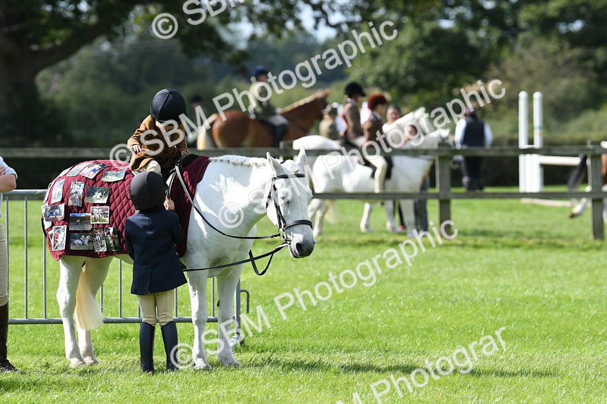 SBM_47045 - S12 - Family Horse & Pony