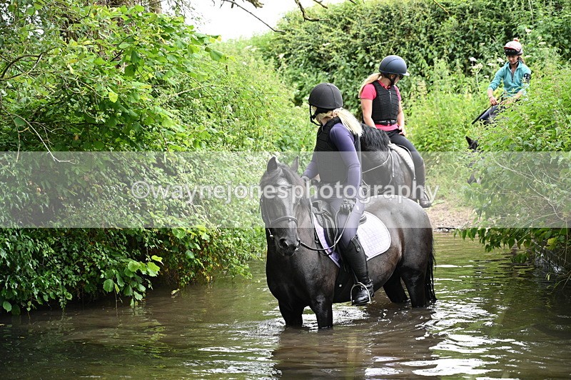 WJ7_2206 - Test