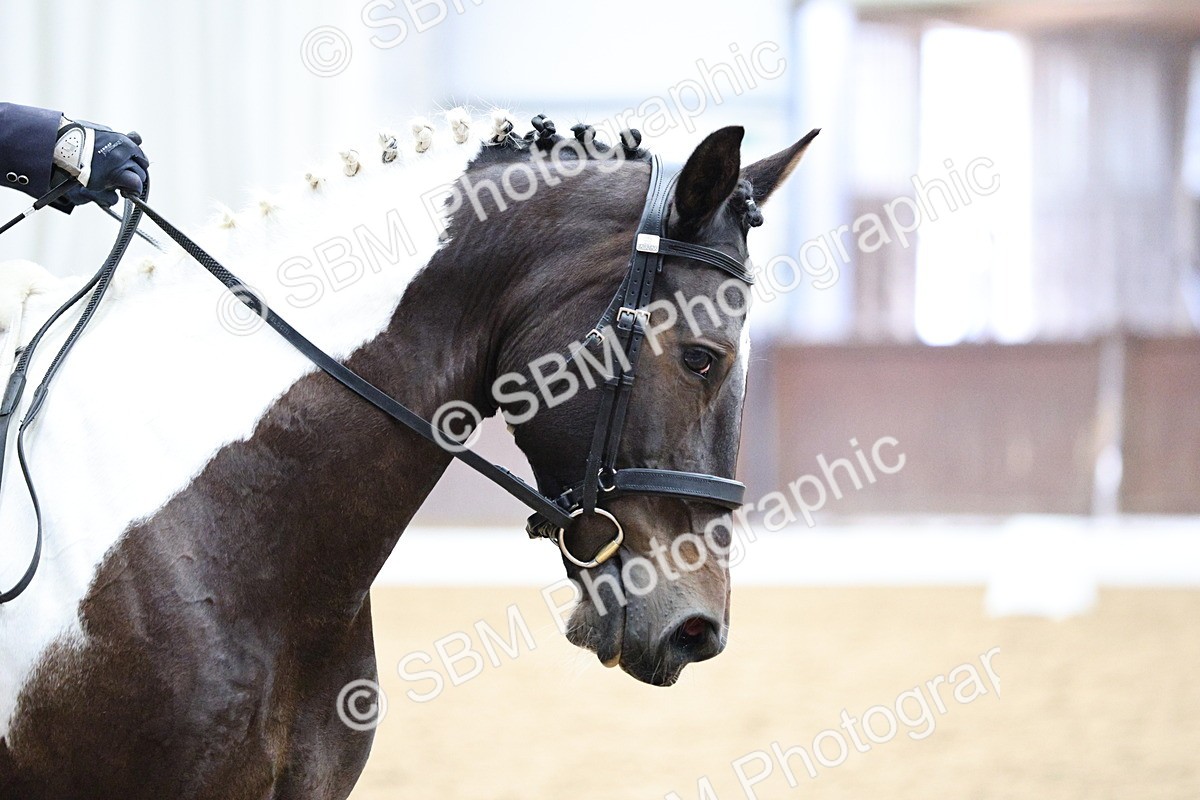 SBM_001671 - Class 7 - Elementary 5