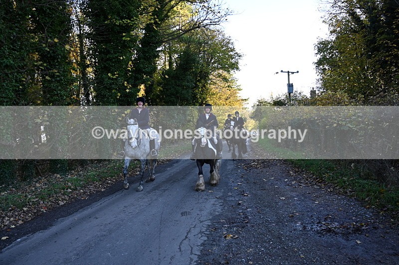 WJ6_9784 - Walk Home
