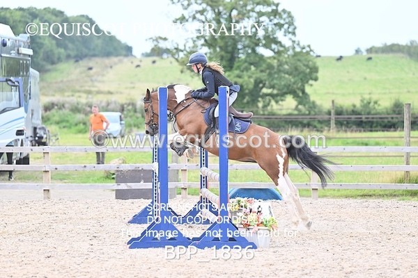 BPP_1836 - CLASS 13 Stepping Stones 128/ 138cms Handicap