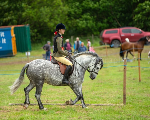 Dunblane show-628 - Dunblane and Doune Show Ring 1
