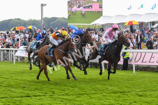 190523-Race 2-Sounds Of Heaven-0343 - Race 2 2.25pm Oaks Farm Stables Fillies' Stakes