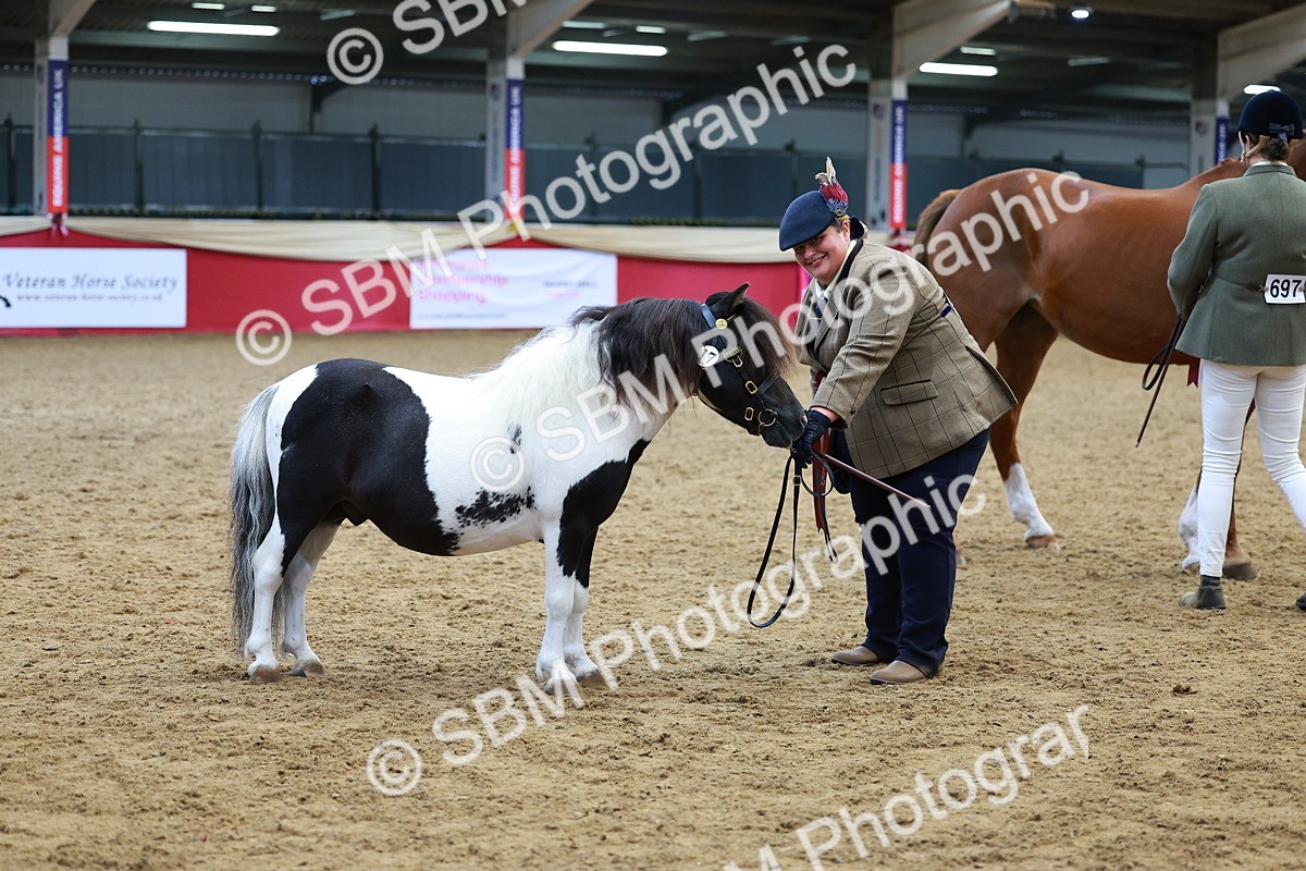 SBM_04352 - Class 9R - IH Pre-Vet