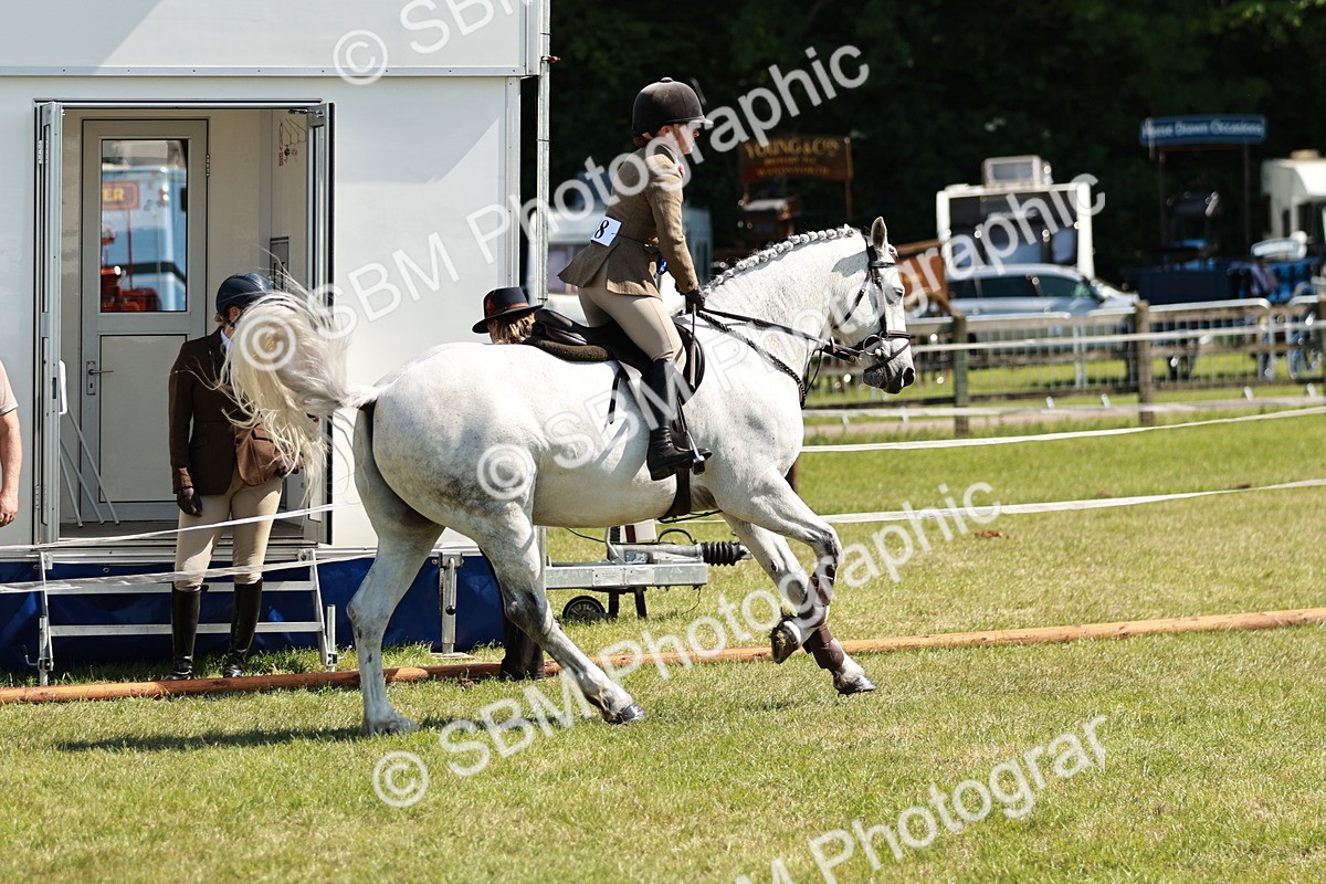 SBM_18519 - Class 112-113 - BSPS LIHS Working Sports Pony