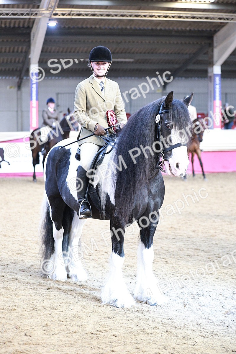 SBM_09115 - Class 12R - Regional Ridden Pre-Vet