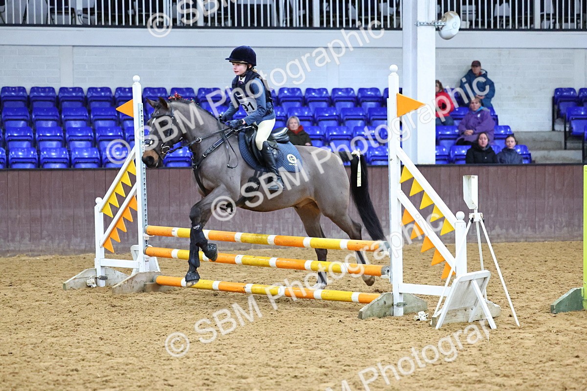 SBM_001286 - Class 3 - Christmas Tree Stakes - 60cm