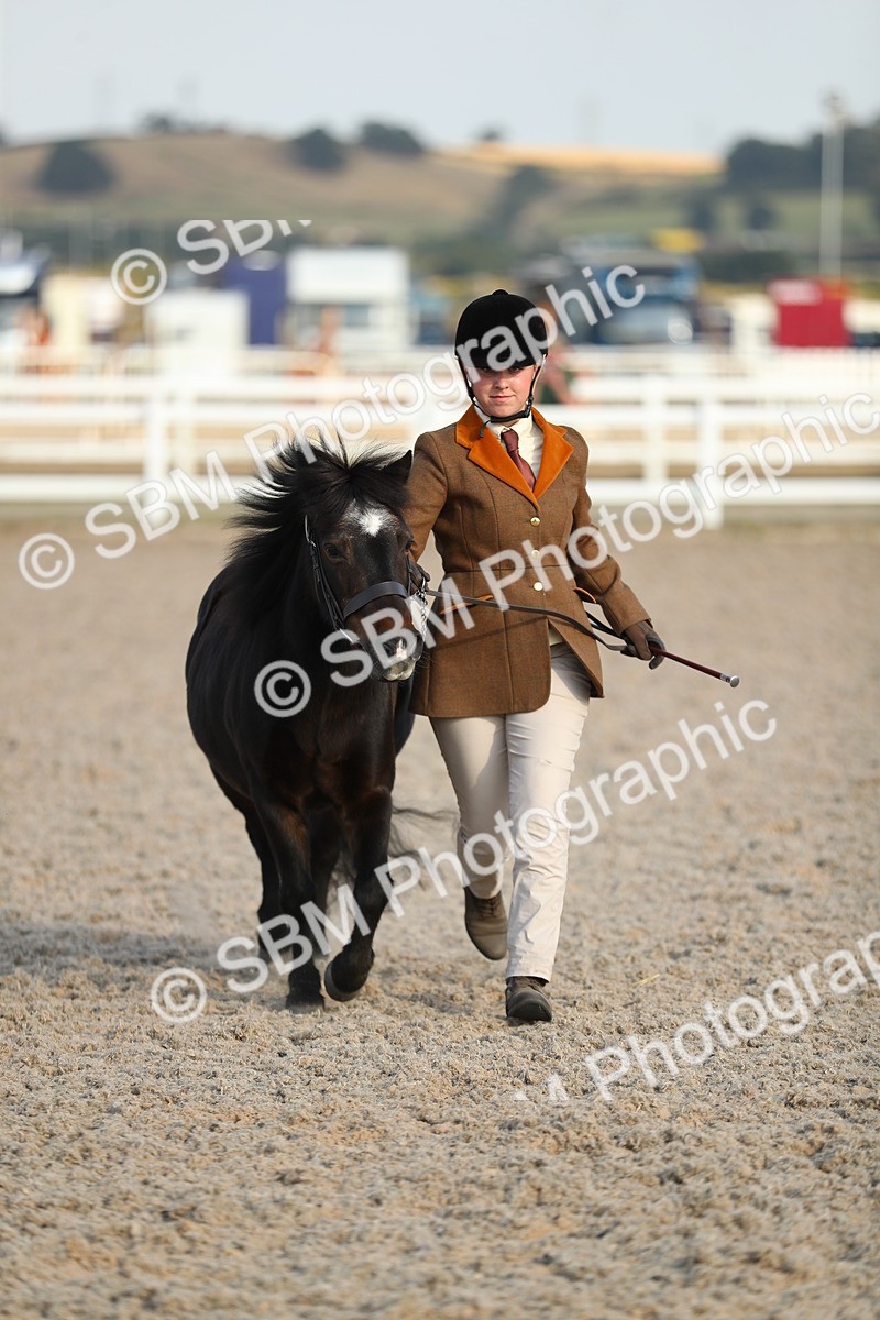 SBM_09034 - Class 29 IH Veteran Pony