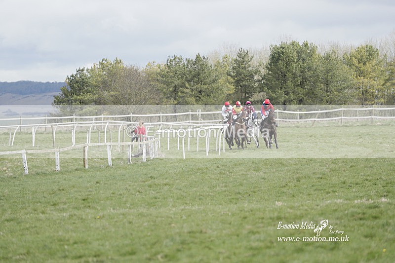 PtP 260323 0376 - New Forest Hounds Point-to-Point Larkhill 26/03/23