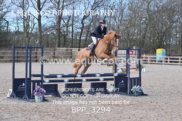 BPP_3294 - CLASS 2  Club/ Unaffiliated 80cms Open