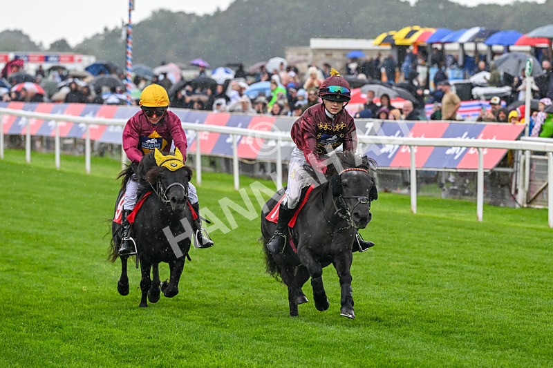 060926-Shetland Pony Race-Claredale Edward-6060 - Shetland Pony Racing 12.30pm