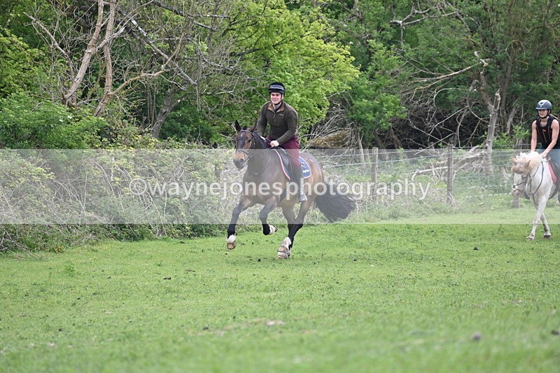 WJ6_3275 - A camera