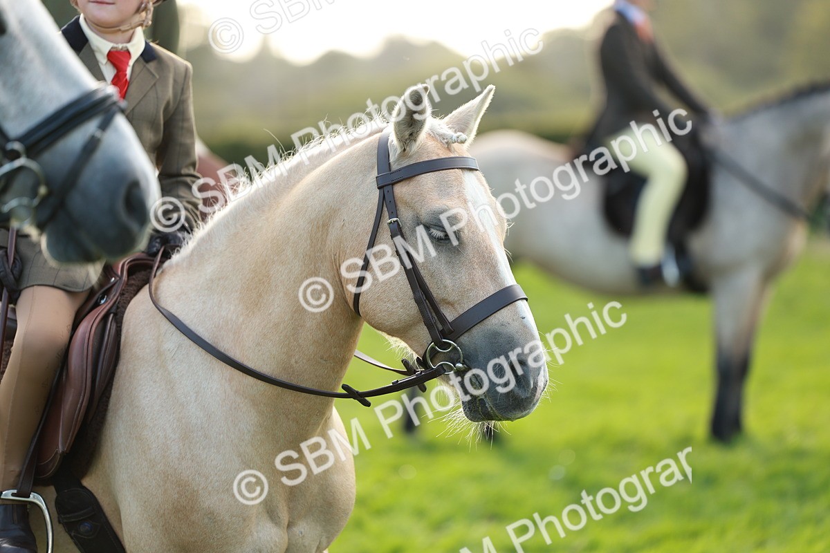SBM_28814 - S7 - Novice & Newcomer Ridden Pony
