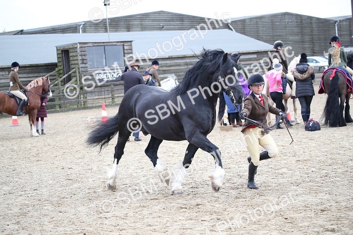 SBM_006394 - Class 10-13 - RIHS Small Large Breeds