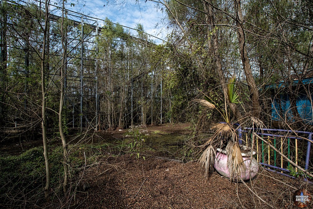 Abandoned Six Flags (New Orleans, LA) | Overgrown - Six Flags New Orleans