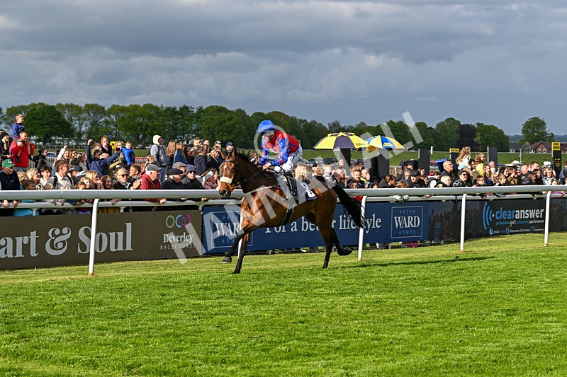 050525-Race 7-Spring Chorus-5581 - Race 7