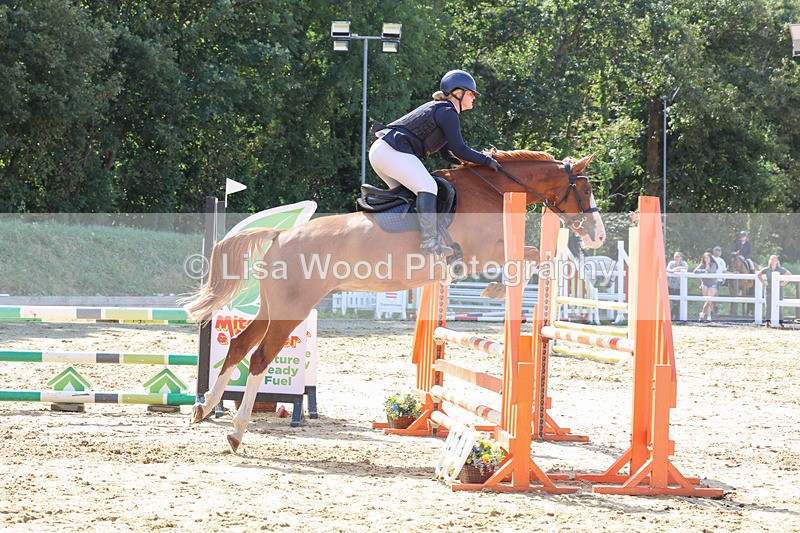 3E7A1108 - Class 4: Senior British Novice/90cm open