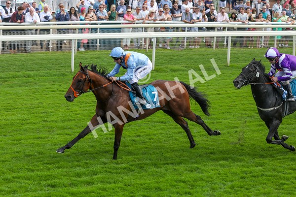 100923-Race 1-The Coffee Pod-3760 - Race 1 1.40pm Ire Incentive, It Pays To Buy Irish EBF Novice Stakes