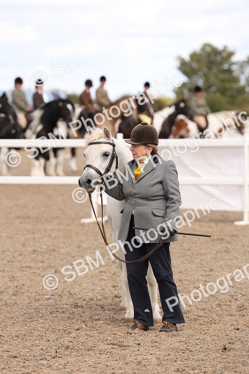 SBM_15074 - Class 209 - IH Veteran Pony