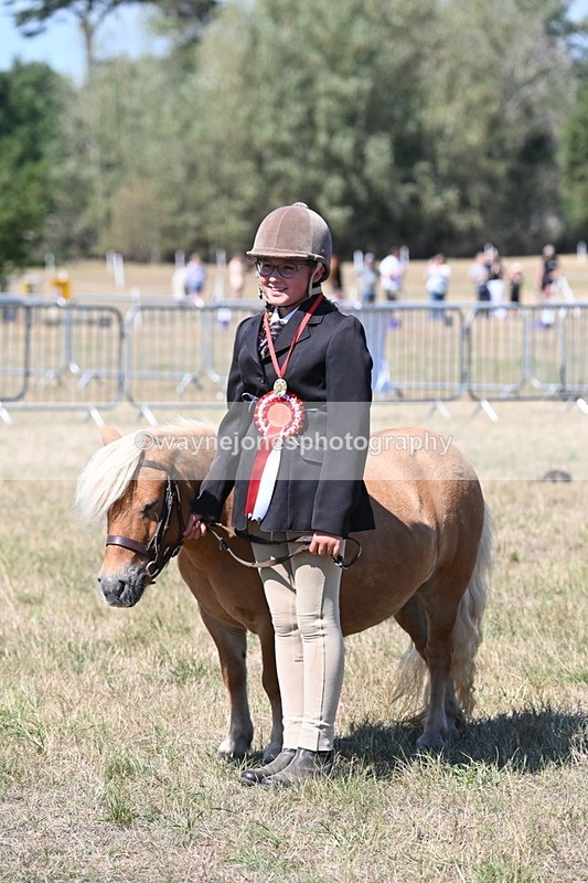 WJ6_8742 - Class 37b Best Loan Pony In-hand