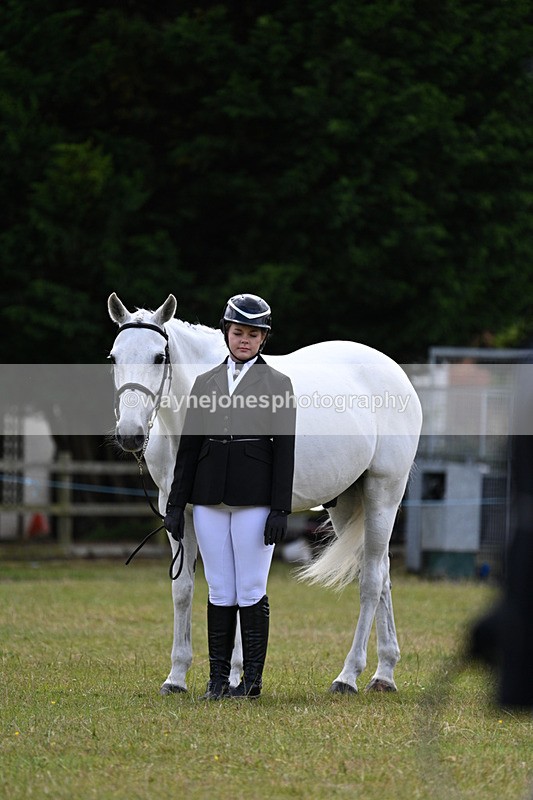 WJ7_7053 - Class 5a Most Handsome Gelding in Hand