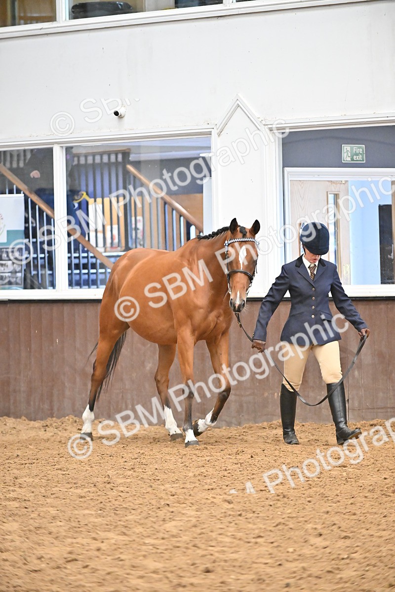 SBM_000205 - Class 7 - ROR Tattersalls In Hand