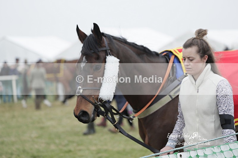 PtP 040323 628 - Duke of Beauforts Hunt Point-to-Point Didmarton 04/03/23